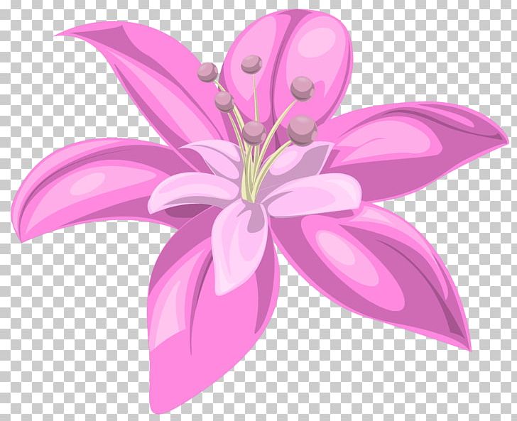 Flower Pink Lilium PNG, Clipart, Clip Art, Cut Flowers, Flora, Flower, Flowering Plant Free PNG Download