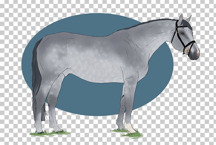 Mule Mustang Stallion Pony Mare PNG, Clipart, Bon Jovi, Bridle, Colt, Dog Harness, Grass Free PNG Download