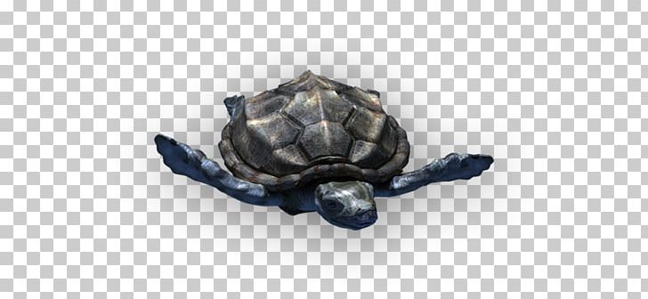 Tortoise Shark Turtle Prehistory Protostega PNG, Clipart, Animals, Megalodon, Meter, Oceanarium, Prehistory Free PNG Download