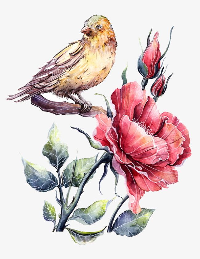 Watercolor Sparrow And Peony PNG, Clipart, Animal, Peony, Peony Clipart, Plant, Sparrow Clipart Free PNG Download