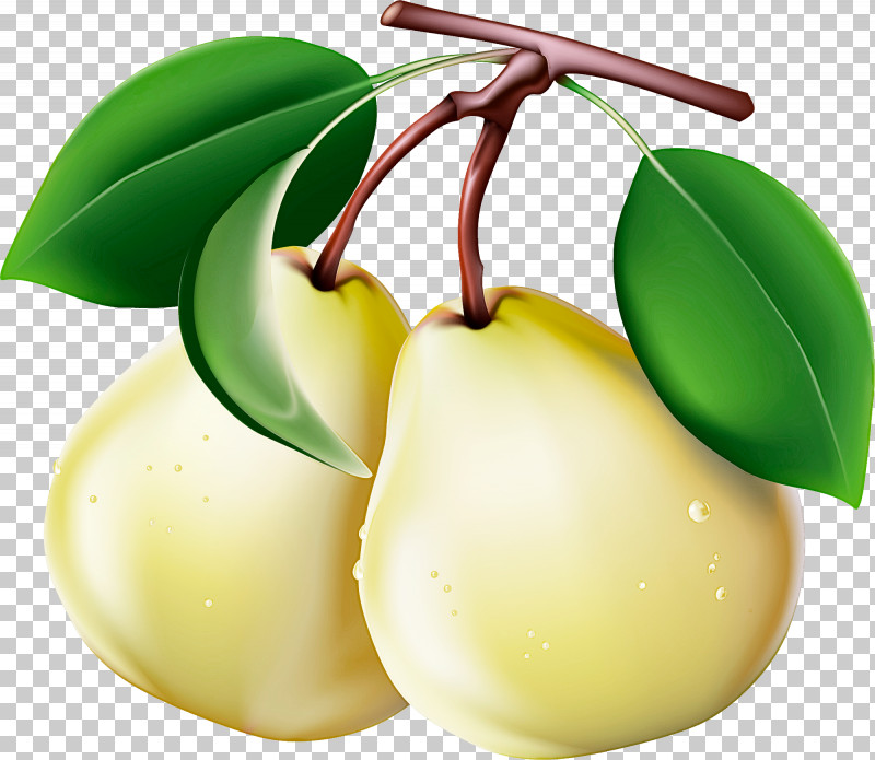 Fruit Tree PNG, Clipart, Asian Pear, Flower, Food, Fruit, Fruit Tree Free PNG Download