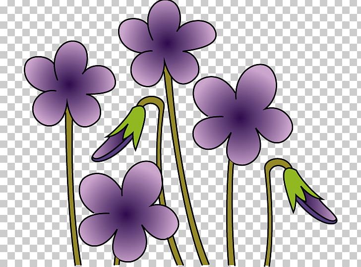Viola Mandshurica Flower PNG, Clipart, Flora, Floral Design, Flower, Flowering Plant, Flower Spring Free PNG Download