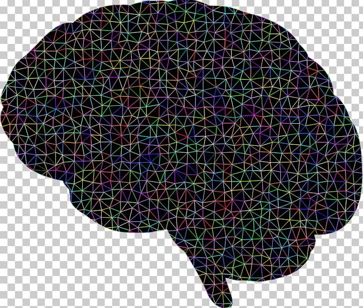 Brain Polygon Neuron PNG, Clipart, Abstraction, Activation Function, Anatomy, Brain, Color Free PNG Download