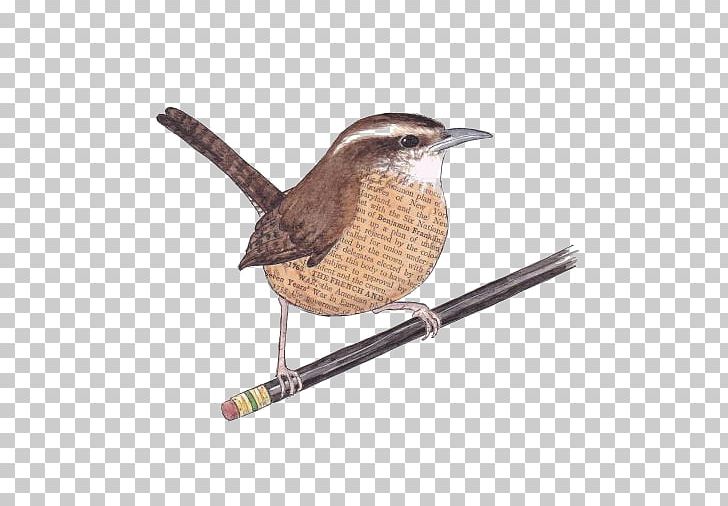 Bird Wren Eurasian Tree Sparrow PNG, Clipart, Animals, Art, Beak, Black, Black Pencil Free PNG Download