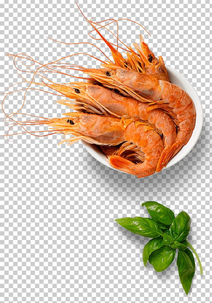 Caridea Prawns Recipe Dish Garnish PNG, Clipart, Animals, Animal Source Foods, Caridea, Caridean Shrimp, Decapoda Free PNG Download