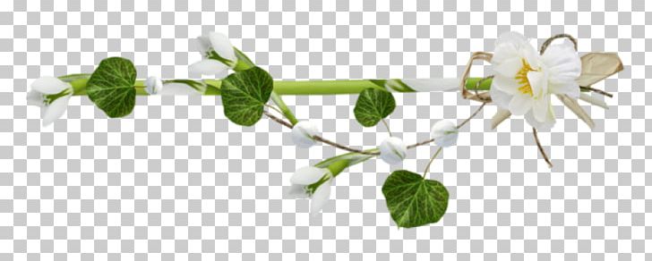 Flower PNG, Clipart, 2016 Nissan Leaf, Blog, Body Jewelry, Branch, Cut Flowers Free PNG Download