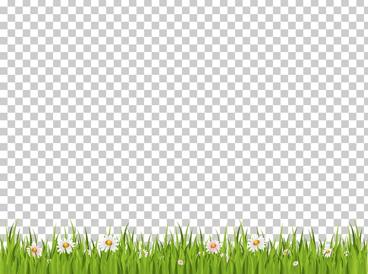Presentation Grass Lawn PNG, Clipart, Computer Icons, Display Resolution, Download, Field, Grass Free PNG Download