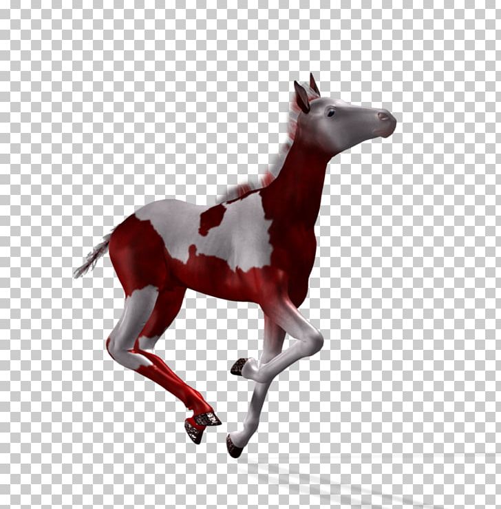 Mustang Foal Stallion Colt Pony PNG, Clipart, American Paint Horse, Animal, Colt, Digital Art, Fantasy Night Background Free PNG Download