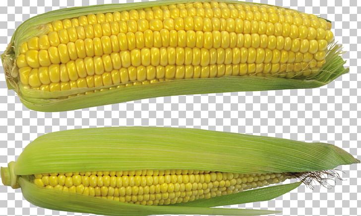 Corn On The Cob Maize Sweet Corn Corn Kernel PNG, Clipart, Commodity, Corn Kernel, Corn Kernels, Corn On The Cob, Depositfiles Free PNG Download
