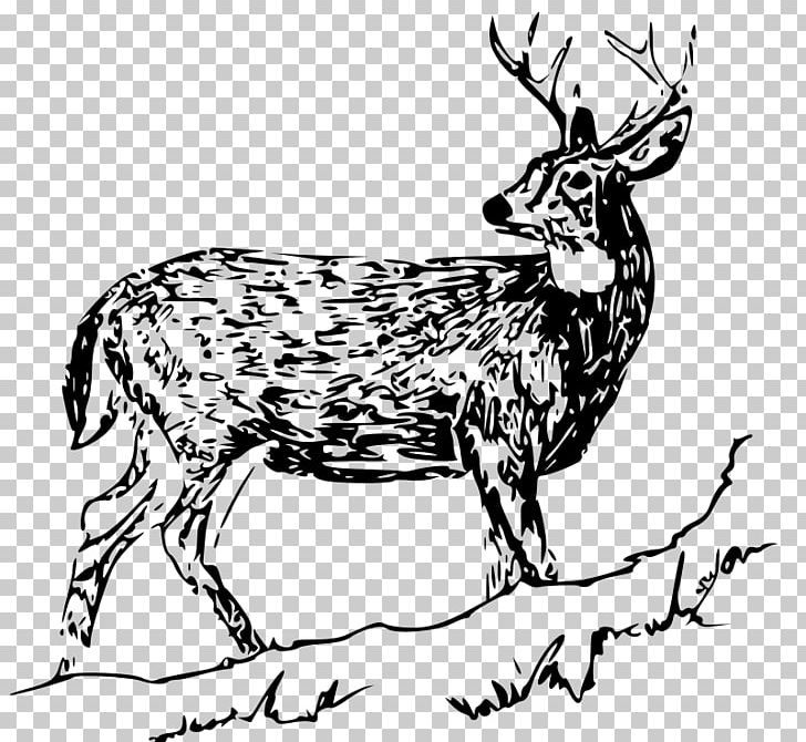 White-tailed Deer Drawing PNG, Clipart, Animals, Antler, Black And White, Computer Icons, Deer Free PNG Download