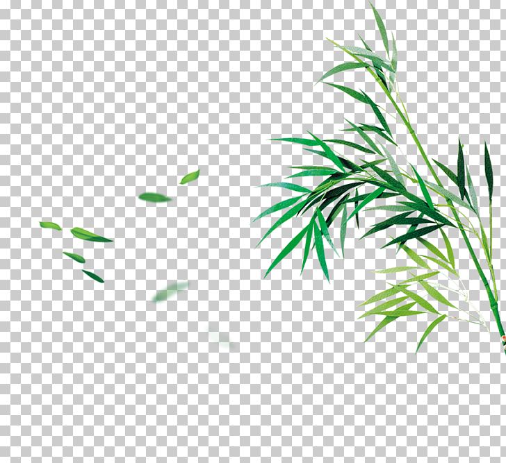 Bamboo Bamboe Computer File PNG, Clipart, Angle, Bamboe, Bamboo Border, Bamboo Frame, Bamboo Leaf Free PNG Download