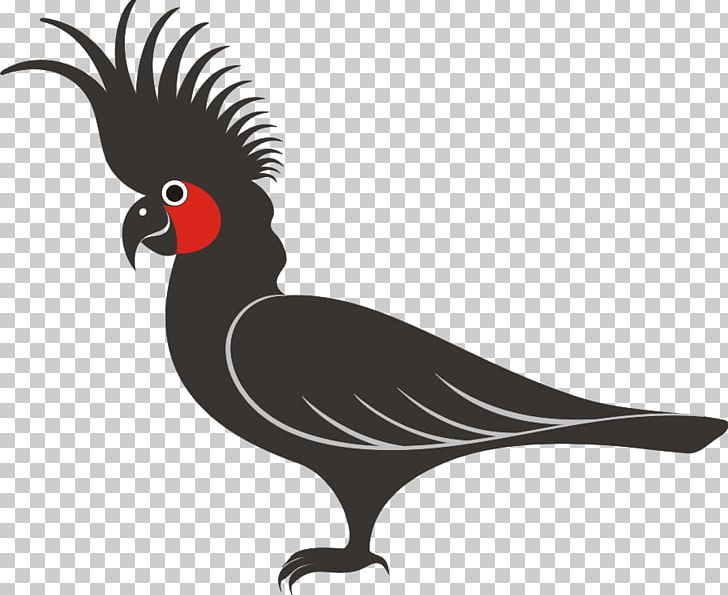 Cockatoo Silhouette Bird PNG, Clipart, Animals, Beak, Bird, Black And White, Chicken Free PNG Download