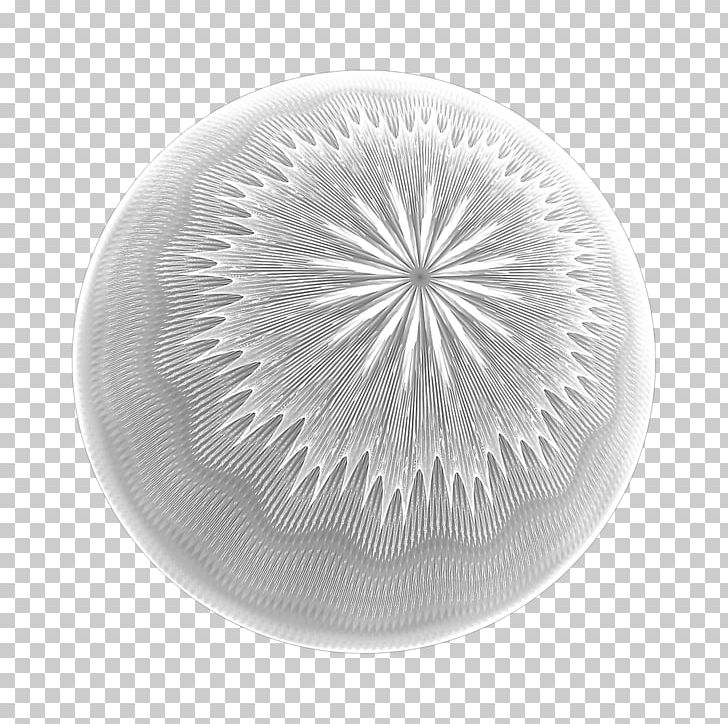 White PNG, Clipart, Art, Black And White, Circle, Dishware, Plate Free PNG Download