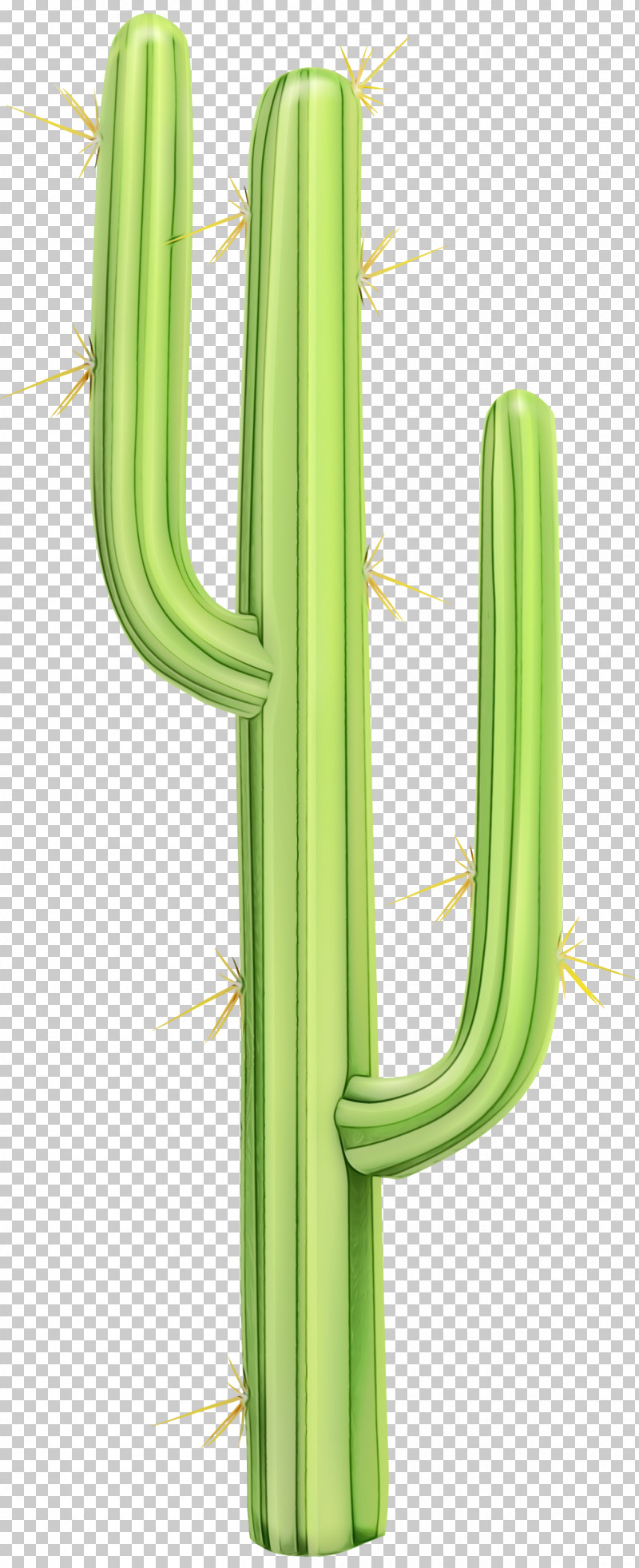 Cactus PNG, Clipart, Biology, Cactus, Echinocereus, Family, Flower Free PNG Download