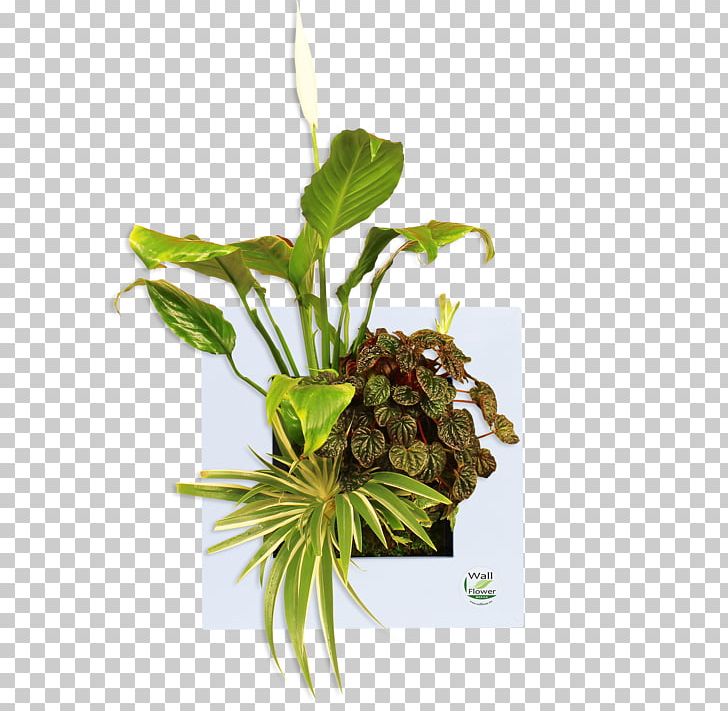 Leaf Flowerpot Herb Plant Stem PNG, Clipart, Flower, Flowerpot, Herb, Leaf, Plant Free PNG Download