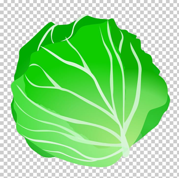Cabbage Vegetable PNG, Clipart, Cabbage, Chinese Cabbage, Clip Art, Food, Grass Free PNG Download