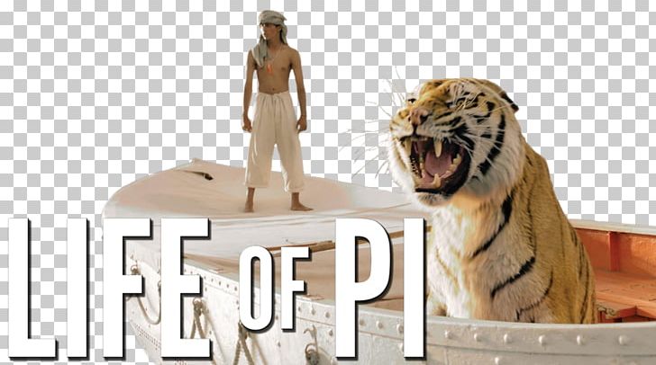Life Of Pi Pi Patel Adventure Film Hollywood PNG, Clipart, Adventure Film, Bengal Tiger, Big Cats, Carnivoran, Cat Like Mammal Free PNG Download