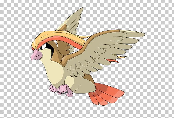 Pokémon X And Y Pidgeotto Pokémon GO PNG, Clipart, Beak, Bird, Bird Of Prey, Cartoon, Chicken Free PNG Download