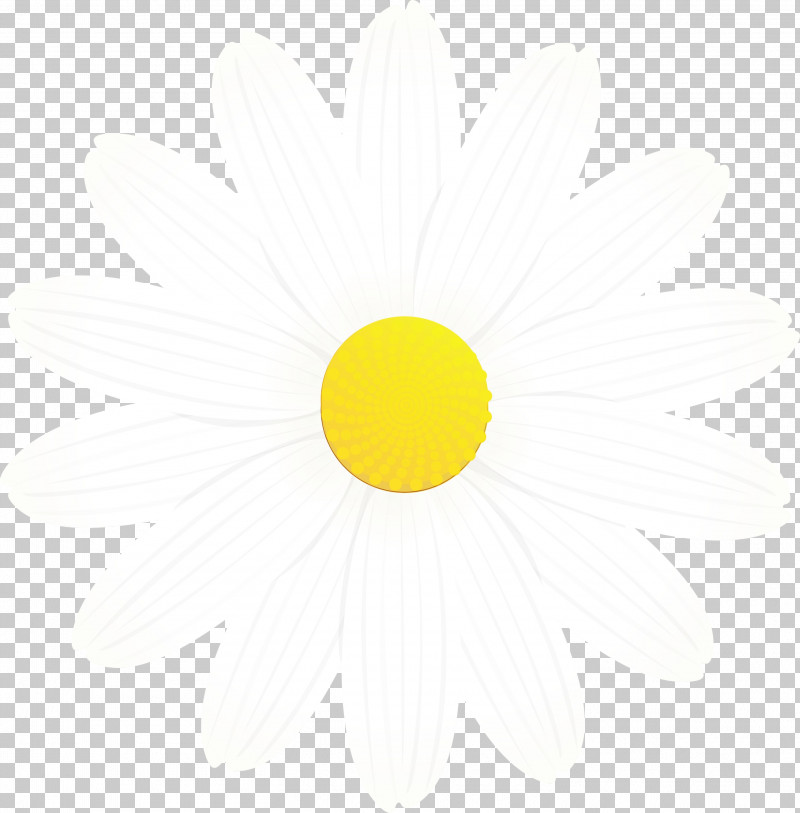 Yellow Circle Smile PNG, Clipart, Circle, Marguerite Flower, Paint, Smile, Spring Flower Free PNG Download