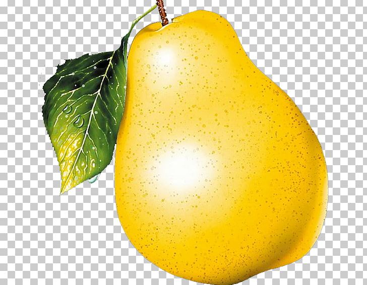 Asian Pear European Pear Fruit Food PNG, Clipart, Apple, Asian Pear, Auglis, Citrus, Decoration Free PNG Download