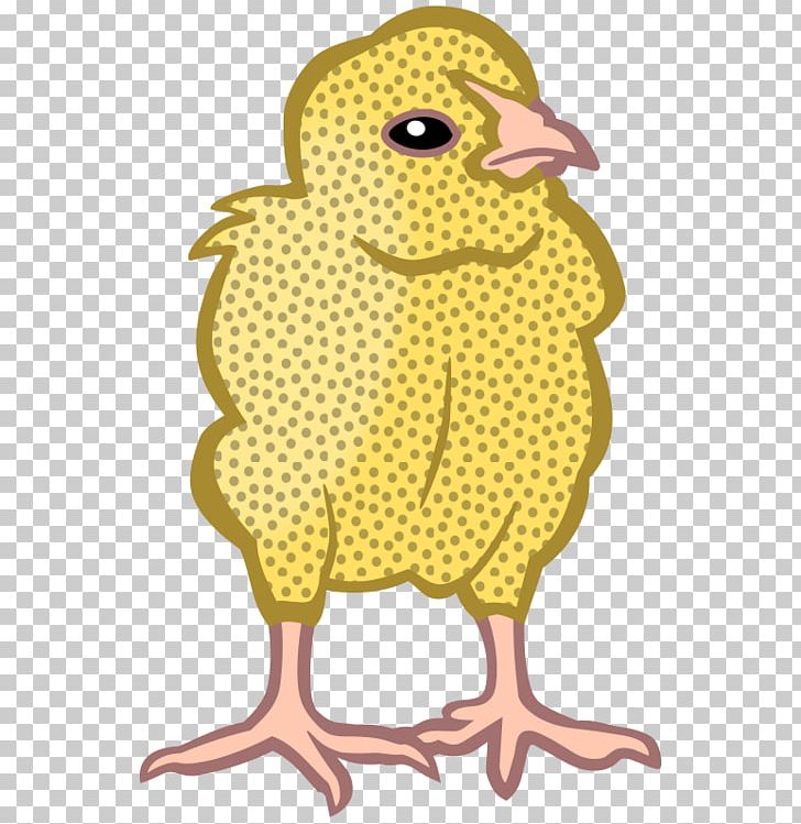 Chicken Drawing PNG, Clipart, Animals, Beak, Bird, Chick, Chicken Free PNG Download