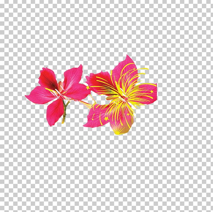 Flower Red Bud PNG, Clipart, Alstroemeriaceae, Bud, Creative, Creative Flowers, Cut Flowers Free PNG Download
