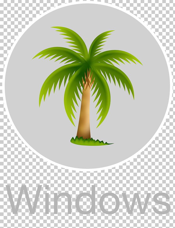 Laptop Computer Software Microsoft Installation PNG, Clipart, Arecales, Coconut, Computer, Electronics, Grass Free PNG Download