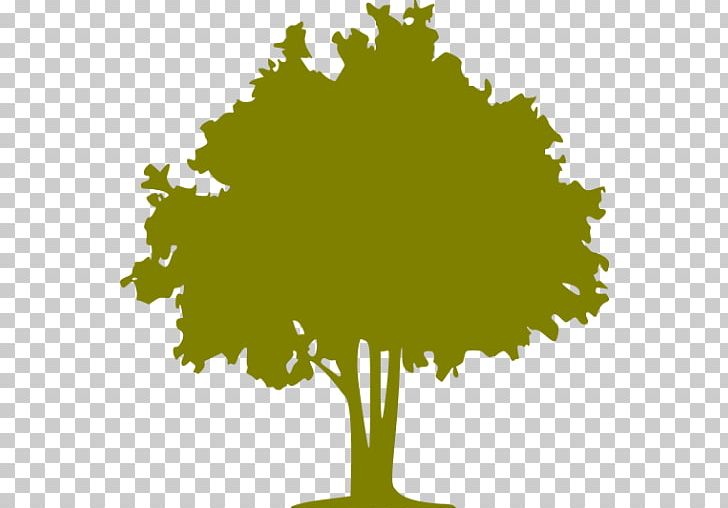 Tree Computer Icons Olive Forest Color PNG, Clipart, Color, Computer Icons, Computer Wallpaper, Deciduous, Felling Free PNG Download