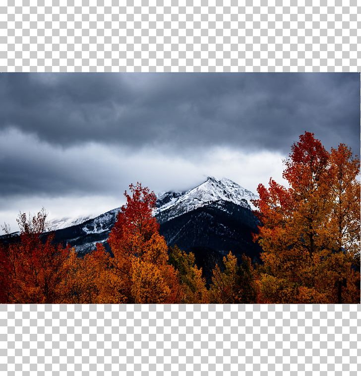 Autumn Leaf Color Landscape Photography Nature PNG, Clipart, Autumn Leaf Color, Colorado, Computer Wallpaper, Crisp, Desktop Wallpaper Free PNG Download