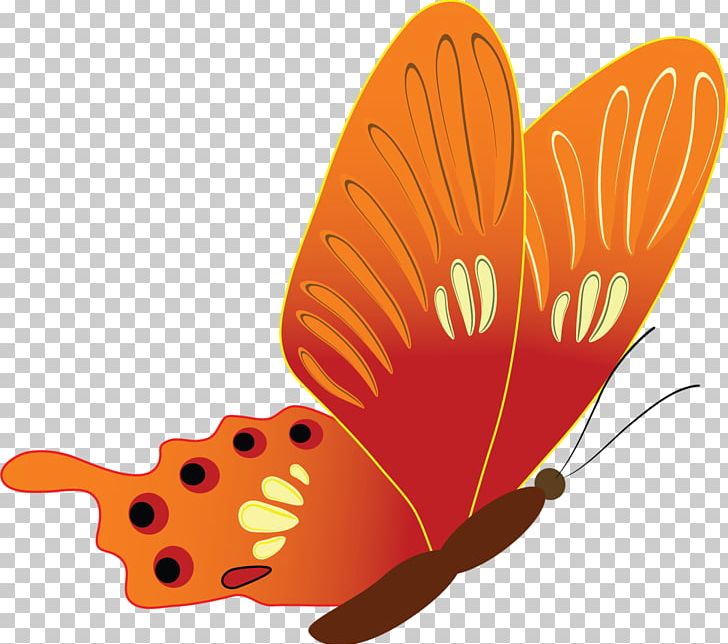 Butterfly PNG, Clipart, Arthropod, Butterflies And Moths, Butterfly, Download, Information Free PNG Download
