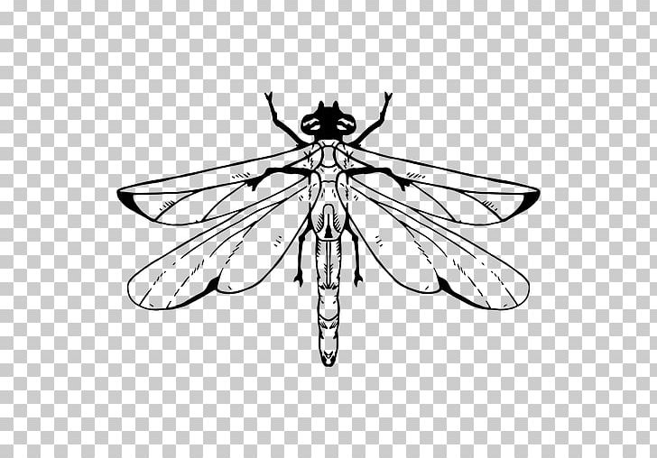 Drawing Graphic Design PNG, Clipart, Art, Arthropod, Artwork, Black And White, Dragonfly Free PNG Download