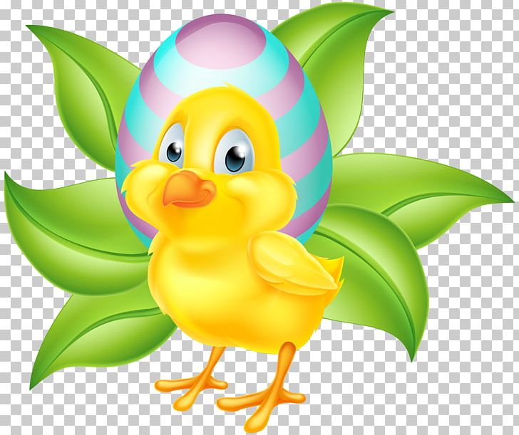 Easter Bunny Chicken PNG, Clipart, Beak, Bird, Cartoon, Clipart, Computer Wallpaper Free PNG Download