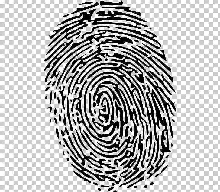 Fingerprint Green PNG, Clipart, Area, Black And White, Blue, Circle, Cmyk Color Model Free PNG Download