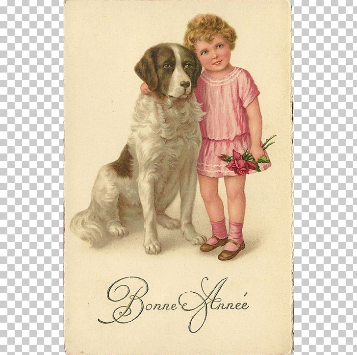 Pomeranian St. Bernard Puppy New Year Post Cards PNG, Clipart, Animals, Canidae, Carnivoran, Christmas, Dog Free PNG Download