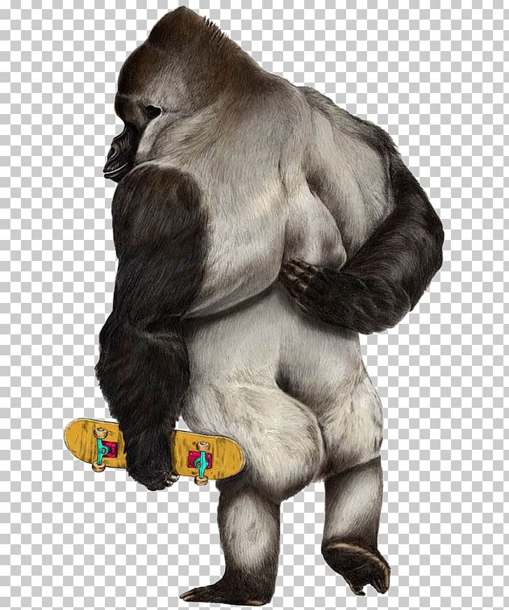 Western Gorilla Ape Skateboarding Illustration PNG, Clipart, Animal, Animals, Balloon Cartoon, Boy Cartoon, Buckle Free PNG Download