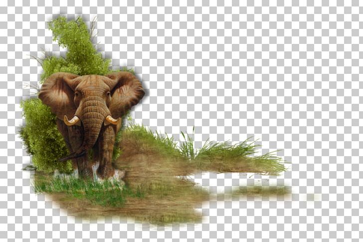 Indian Elephant African Elephant Wildlife Elephantidae PNG, Clipart, African Elephant, Animal, Elephant, Elephantidae, Elephants And Mammoths Free PNG Download