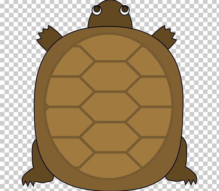 Turtle Reptile The Tortoise And The Hare PNG, Clipart, Animal, Animals, Cartoon, Chargepoint Inc, Fauna Free PNG Download