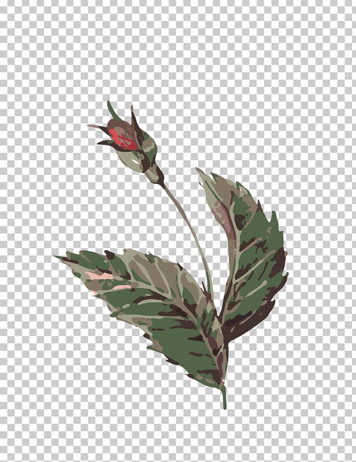 Watercolor Painting PNG, Clipart, Autumn Leaf, Bird, Botany, Branch, Bud Free PNG Download