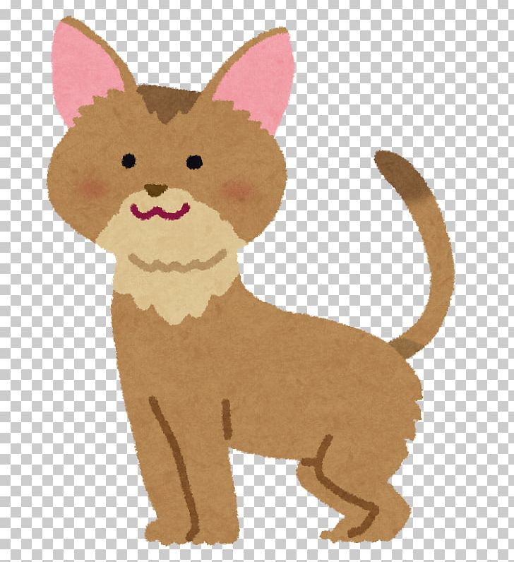 Whiskers Abyssinian Cat Maine Coon American Shorthair Cat Food PNG, Clipart, Abyssinian Cat, American Shorthair, Amyloidosis, Animal Figure, Cardiomyopathy Free PNG Download