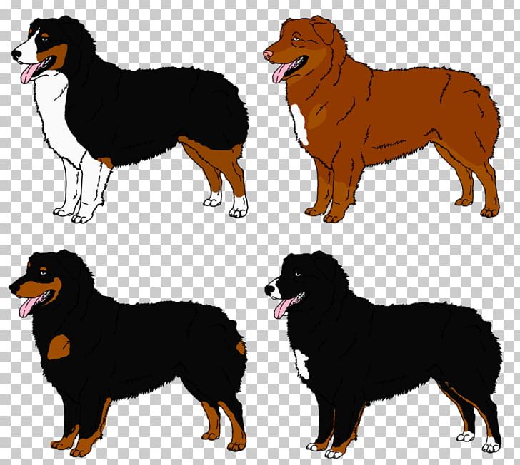 Ancient Dog Breeds Companion Dog Rough Collie PNG, Clipart, Ancient Dog Breeds, Australian Shepherd, Breed, Breed Group Dog, Carnivoran Free PNG Download