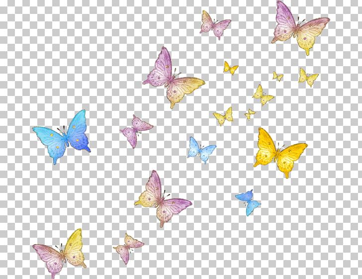 Butterfly Wedding PNG, Clipart, Adobe Illustrator, Art, Butterfly Wedding, Christmas Decoration, Color Free PNG Download