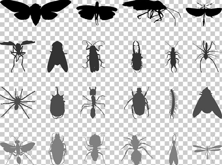 Mosquito Insect Butterfly Ant PNG, Clipart, Animals, Anti Mosquito, Arthropod, Black, Membrane Winged Insect Free PNG Download