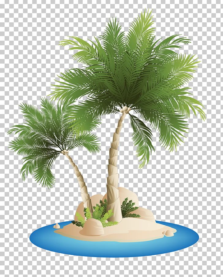 Palm Islands Beach PNG, Clipart, Arecaceae, Arecales, Beach, Borassus Flabellifer, Chair Free PNG Download