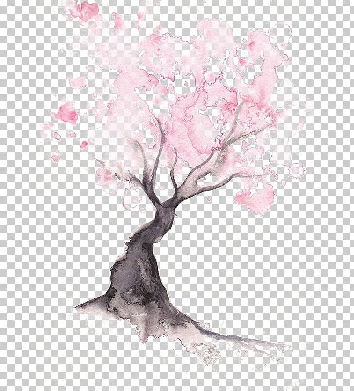 Paper Cherry Blossom Watercolor Painting Drawing PNG, Clipart, Blossom, Blossoms, Branch, Cherry, Color Free PNG Download