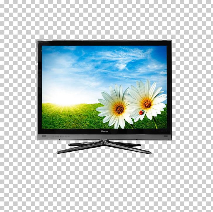 Flower High-definition Television Mobile Phone PNG, Clipart, 1080p, Appliance, Computer Wallpaper, Flower, Hisense Free PNG Download