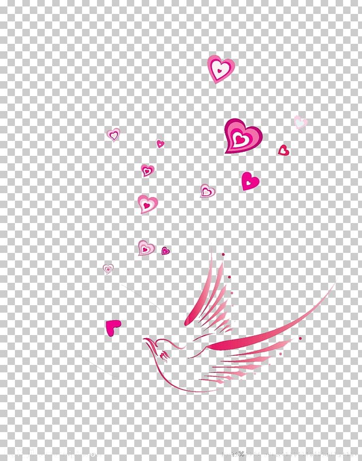 Homing Pigeon Bird Heart PNG, Clipart, Animals, Bird, Bird Cage, Birds, Circle Free PNG Download