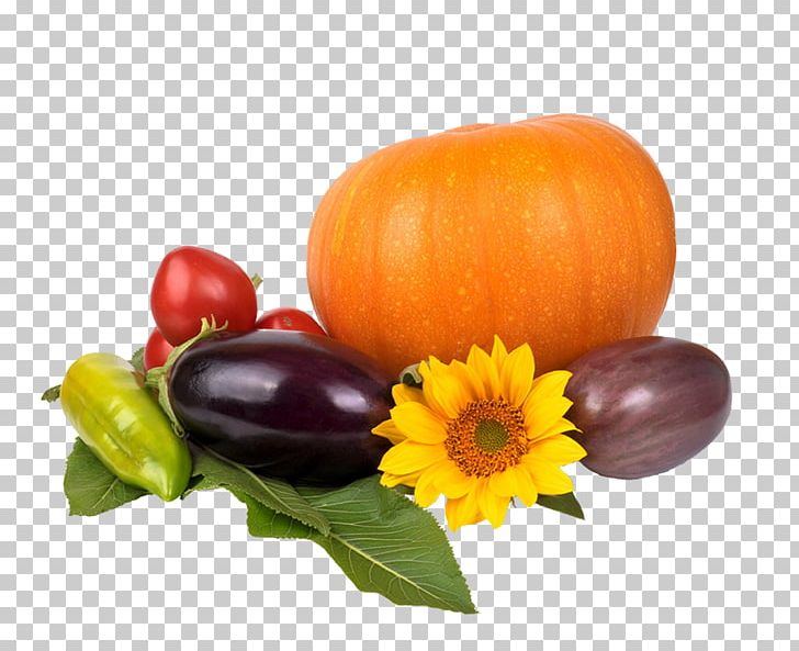 Pumpkin Pie Turkey Thanksgiving Dinner PNG, Clipart, Food, Fruit, Gourd, Harvest, Harvest Festival Free PNG Download