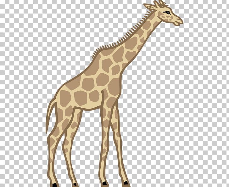 Mammal Fauna Giraffe PNG, Clipart, Animal Figure, Animation, Fauna, Giraffe, Giraffidae Free PNG Download