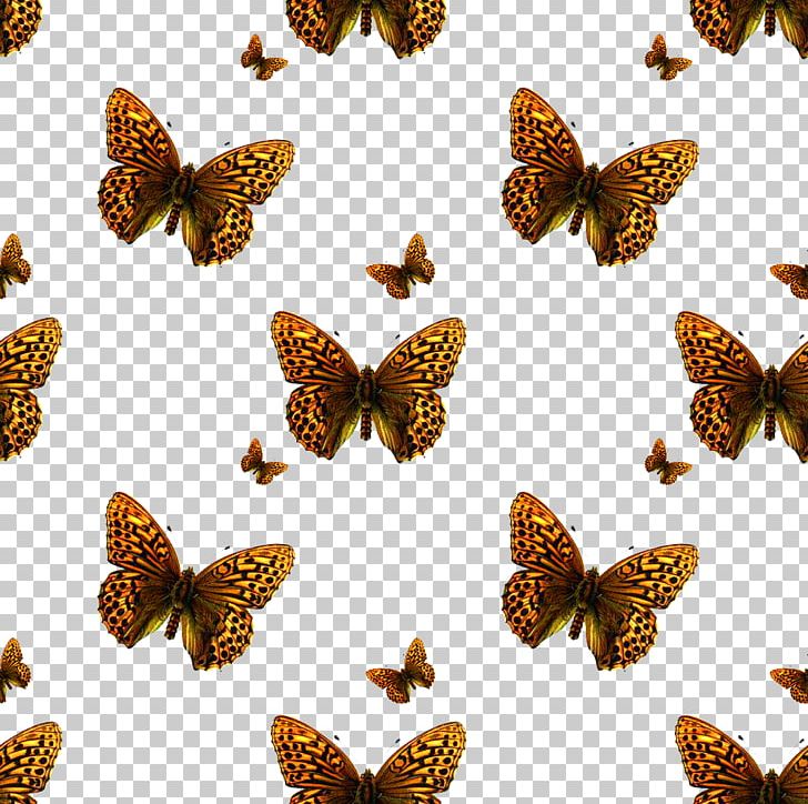 Texture Mapping Photography Pattern PNG, Clipart, Animals, Brush Footed Butterfly, Butterflies, Butterfly Group, Butterfly Wings Free PNG Download