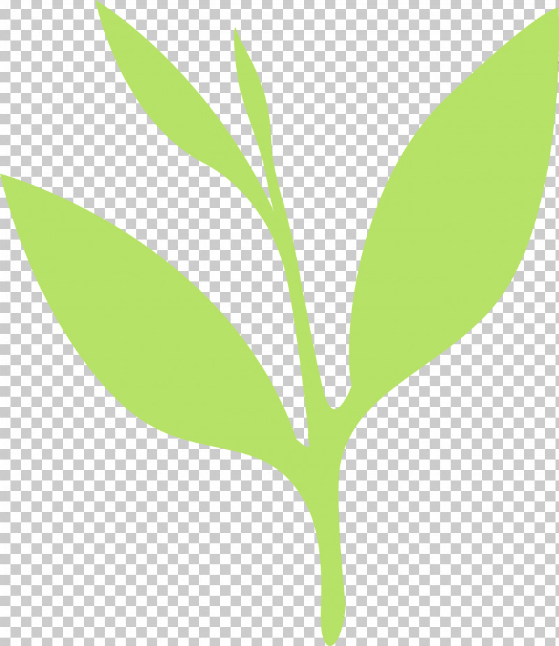 Leaf Green Plant Flower Plant Stem PNG, Clipart, Eucalyptus, Flower, Green, Leaf, Logo Free PNG Download